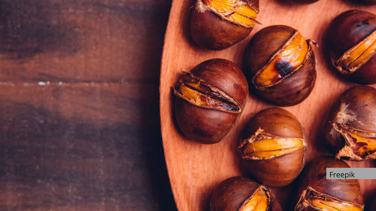 Agenda cultural de novembro- Especial São Martinho