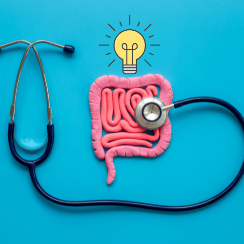 O poder do Segundo Cérebro: como o intestino influencia a saúde e o bem-estar