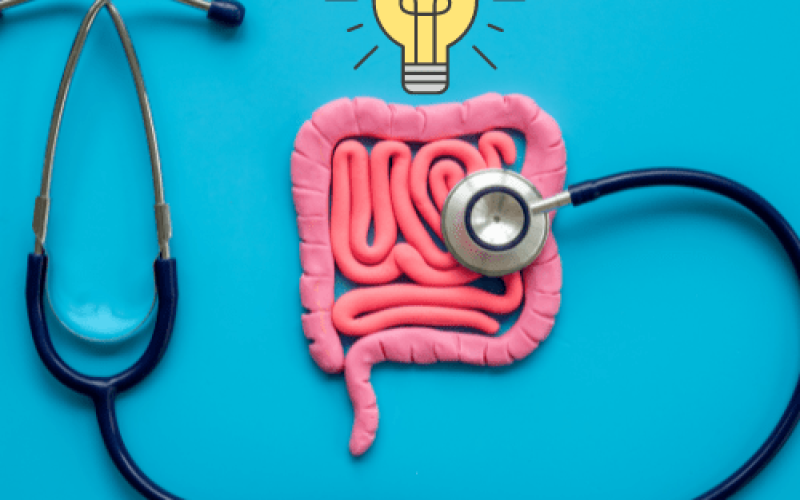 O poder do Segundo Cérebro: como o intestino influencia a saúde e o bem-estar