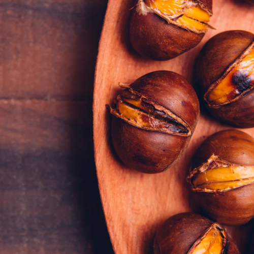 Agenda cultural de novembro- Especial São Martinho