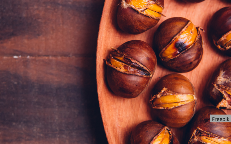 Agenda cultural de novembro- Especial São Martinho