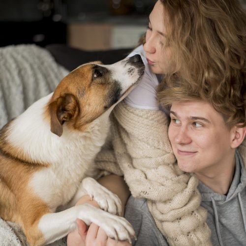 A magia do olhar entre cães e humanos