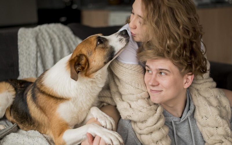 A magia do olhar entre cães e humanos