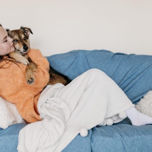 Casa saudável e aconchegante: dicas de especialistas para limpar sofá e colchão